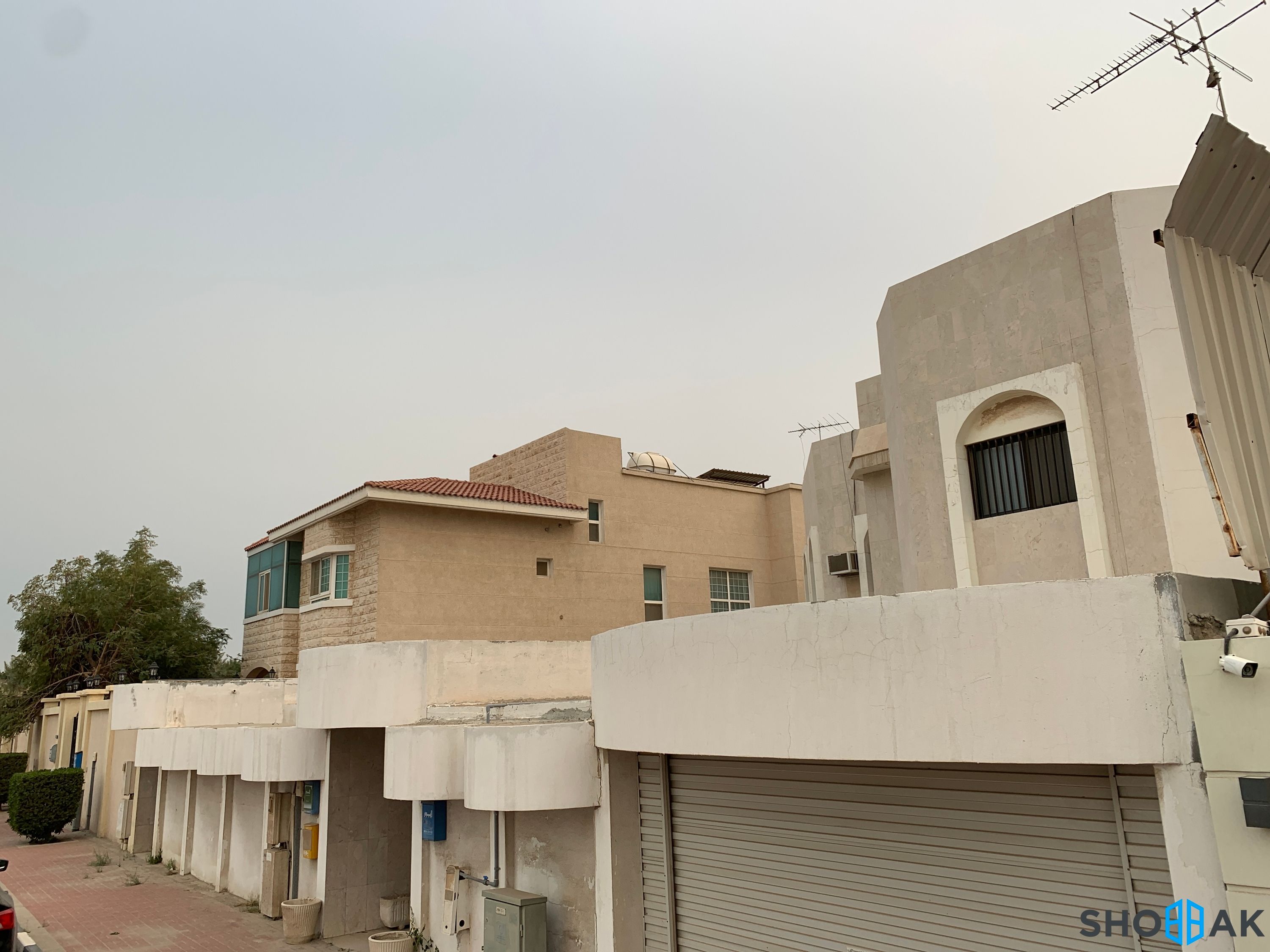 ارض للبيع شارع ابن ماجد حي الحزام الذهبي Shobbak Saudi Arabia