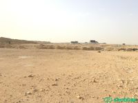 أرض للبيع، حي النرجس، طريق أنس بن مالك  شباك السعودية