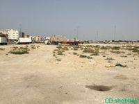 ارض للبيع حي الضباب  Shobbak Saudi Arabia