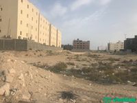 أرض للبيع - حي الشعلة  شباك السعودية