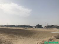 ارض للبيع - حي اللؤلؤ  Shobbak Saudi Arabia