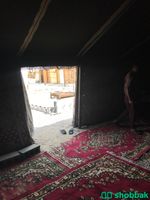 مخيم للايجار على طريق المطار  Shobbak Saudi Arabia