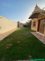 استراحة للإيجار |في حي القادسية  Shobbak Saudi Arabia