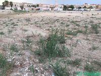 ارض للبيع حي الخزامى- الخبر  Shobbak Saudi Arabia