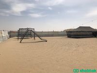 مخيم للايجار - على طريق المطار  شباك السعودية