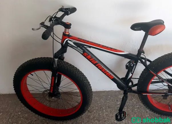 دراجة هوائية 🚲 شباك الإمارات العربية المتحدة