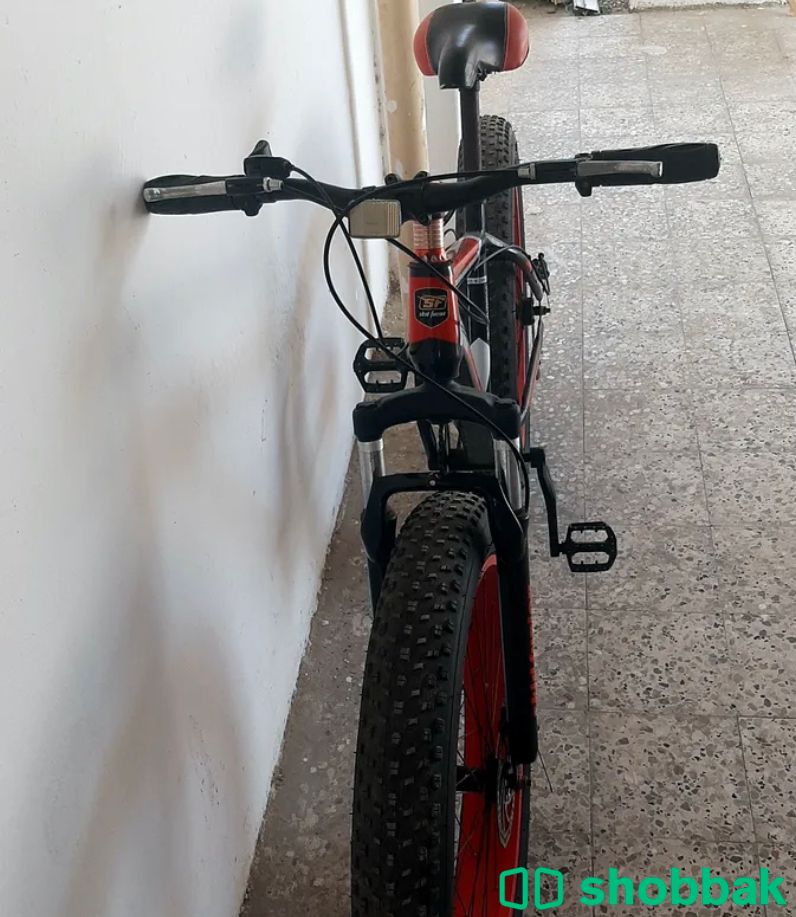 دراجة هوائية 🚲 شباك الإمارات العربية المتحدة