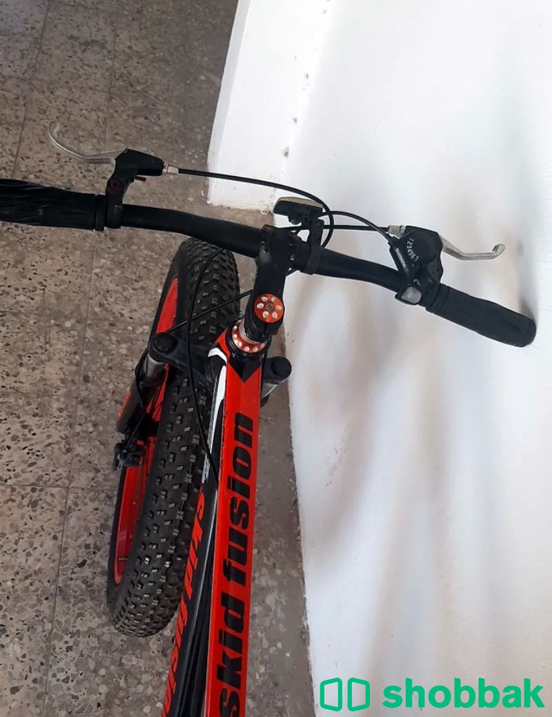 دراجة هوائية 🚲 شباك الإمارات العربية المتحدة