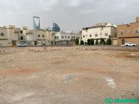 الرياض ،حي العليا ،شارع عبدالله المسيلي   Shobbak Saudi Arabia
