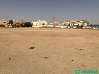 ارض للبيع - شارع حيدر شهاب الدين - حي المنار شباك السعودية