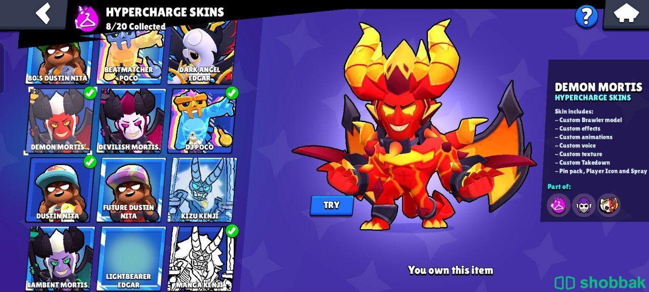 Brawl Stars Account / حساب براول ستارز Shobbak Saudi Arabia