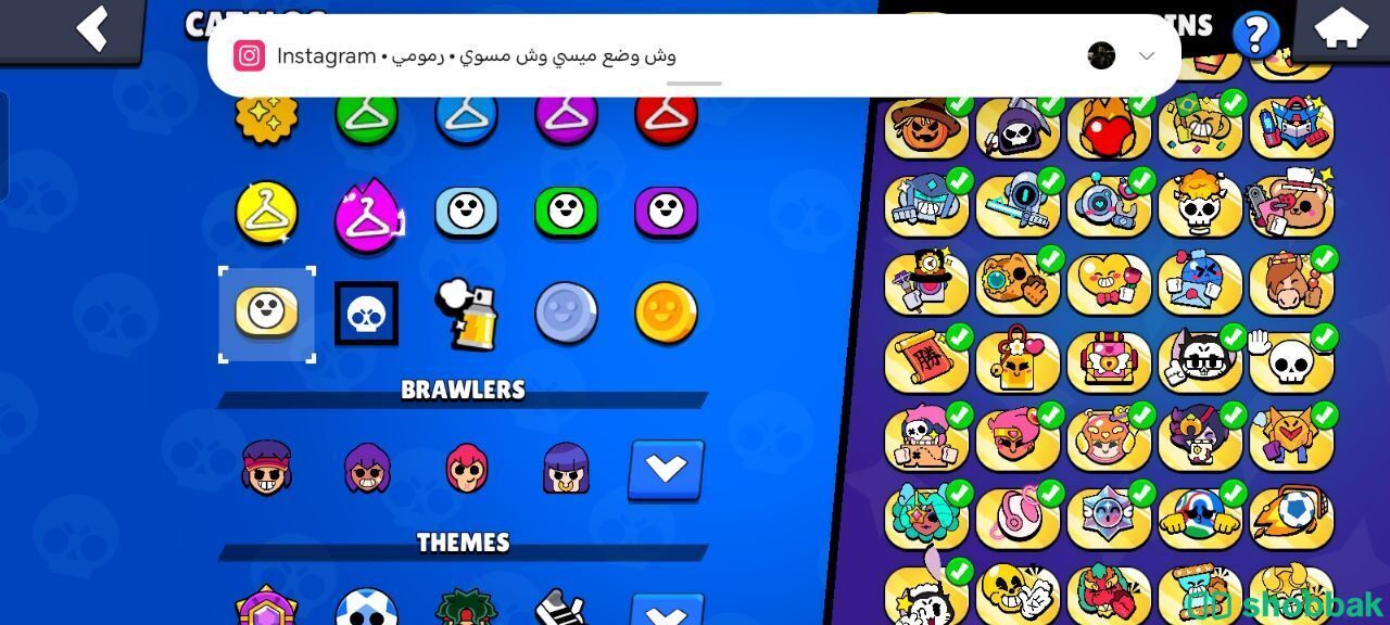 Brawl Stars Account / حساب براول ستارز Shobbak Saudi Arabia