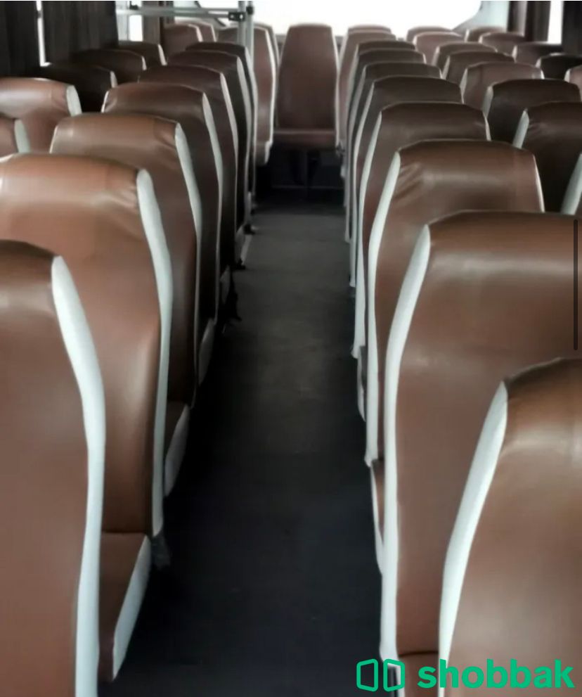 bus ashok 2017 whit ac شباك الإمارات العربية المتحدة