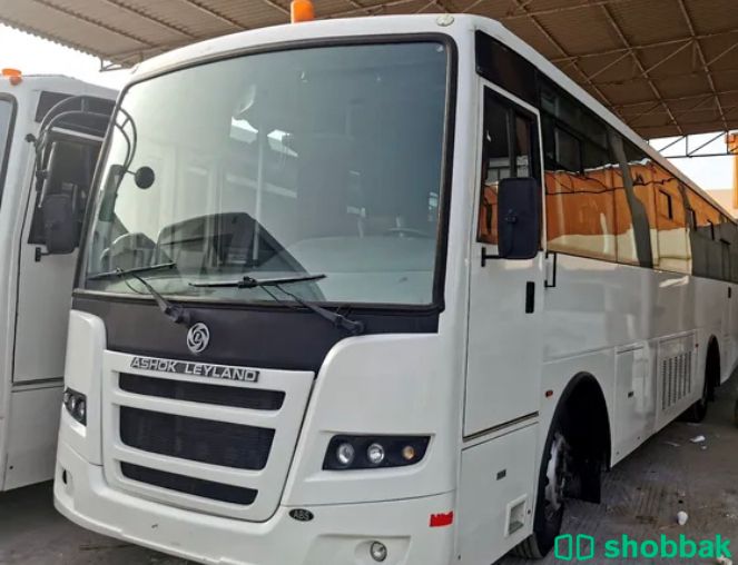 bus ashok 2017 whit ac شباك الإمارات العربية المتحدة