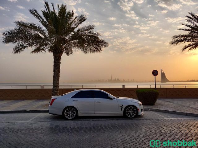 Cadillac CTS-V 2016 شباك الإمارات العربية المتحدة