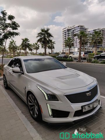 Cadillac CTS-V 2016 شباك الإمارات العربية المتحدة