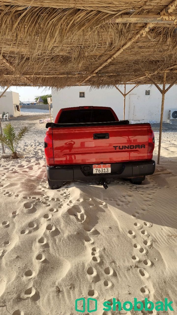 Car for sale  شباك الإمارات العربية المتحدة