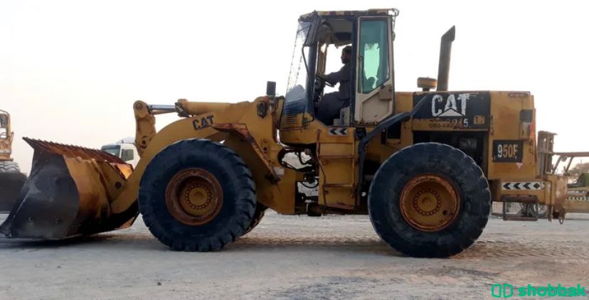 شيول CAT للبيع  شباك الإمارات العربية المتحدة