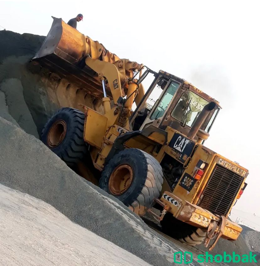 شيول CAT للبيع  شباك الإمارات العربية المتحدة