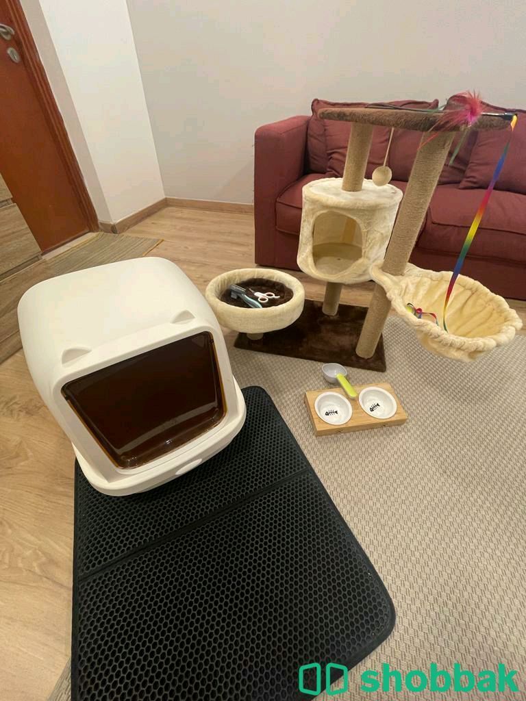 Cat accessories  Shobbak Bahrain