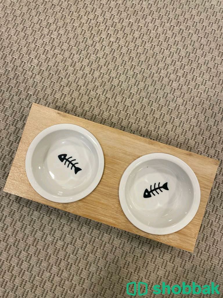 Cat accessories  Shobbak Bahrain
