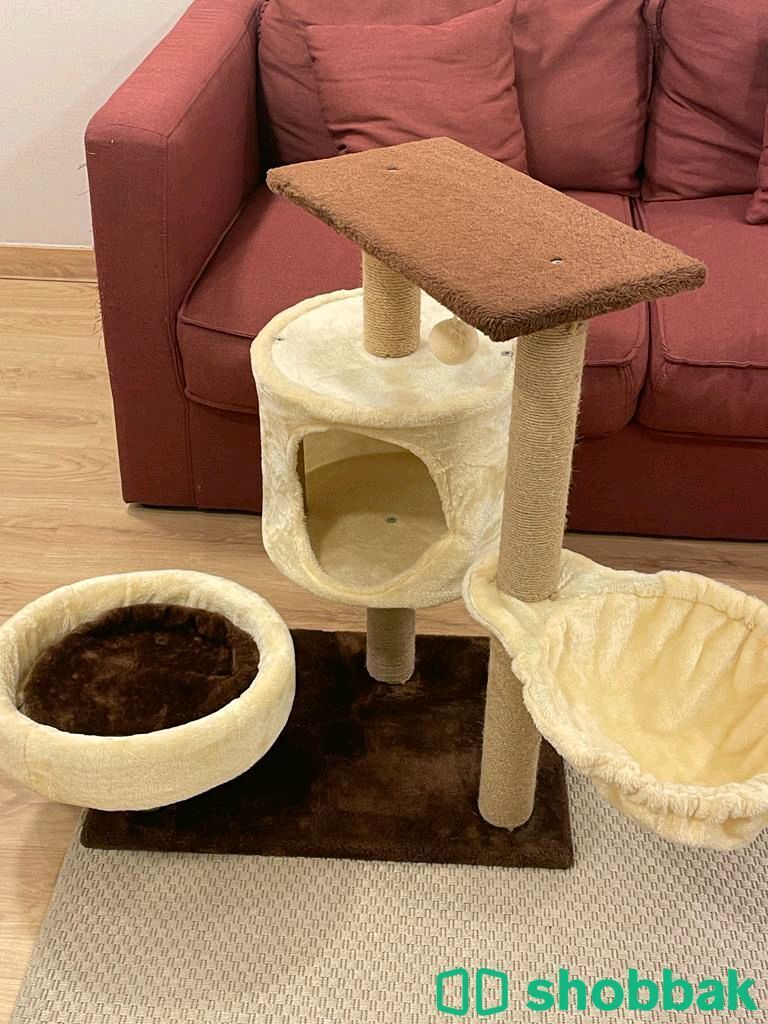 Cat accessories  Shobbak Bahrain