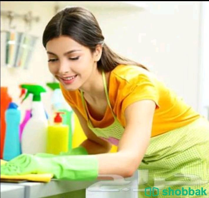 Cleaning and cooking job  Shobbak Saudi Arabia