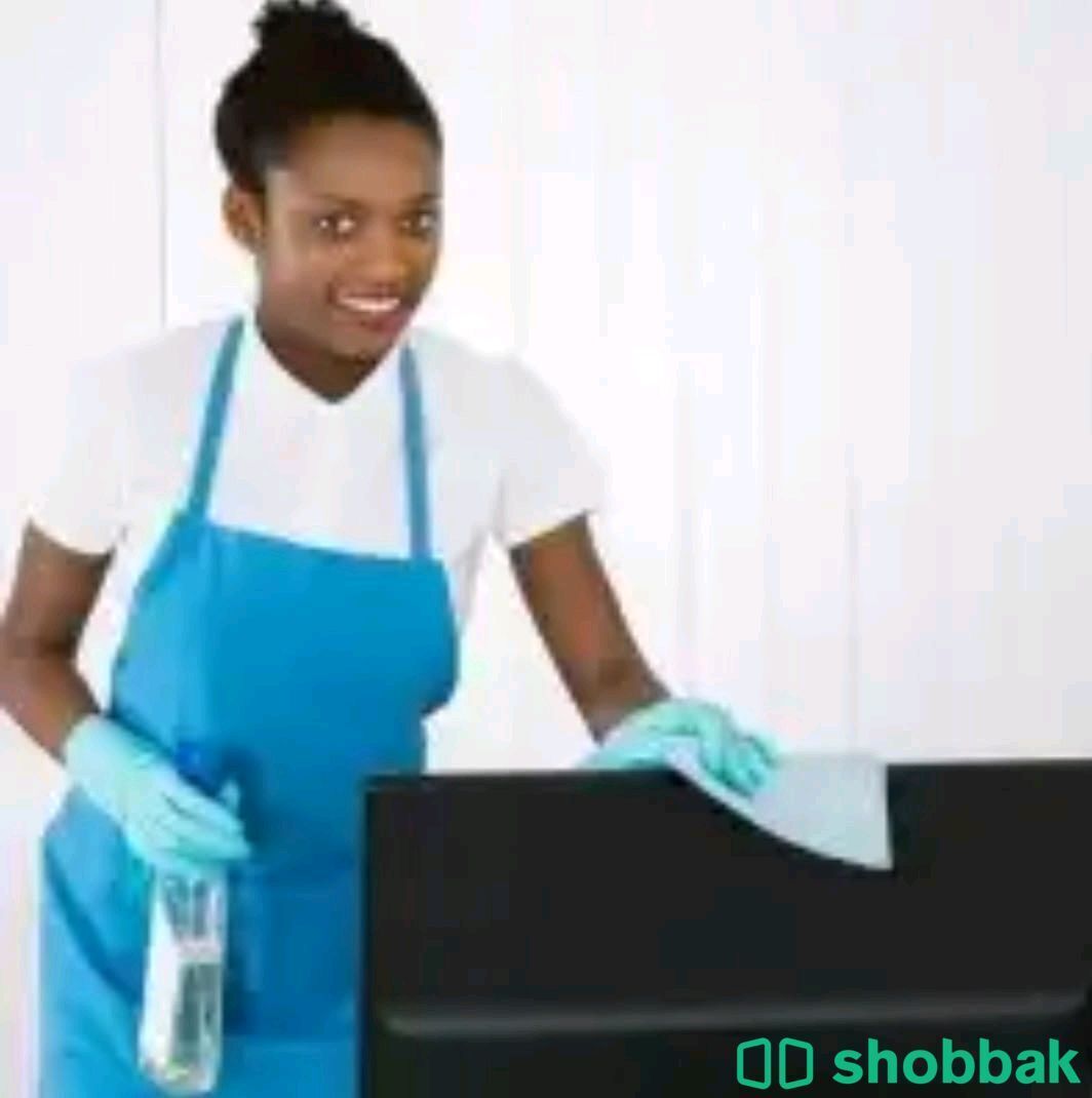 Cleaning job  Shobbak Saudi Arabia
