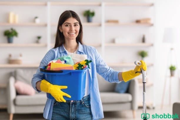 Cleaning service Riyadh شباك السعودية