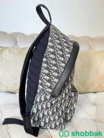 Dior Backpack  Shobbak Saudi Arabia