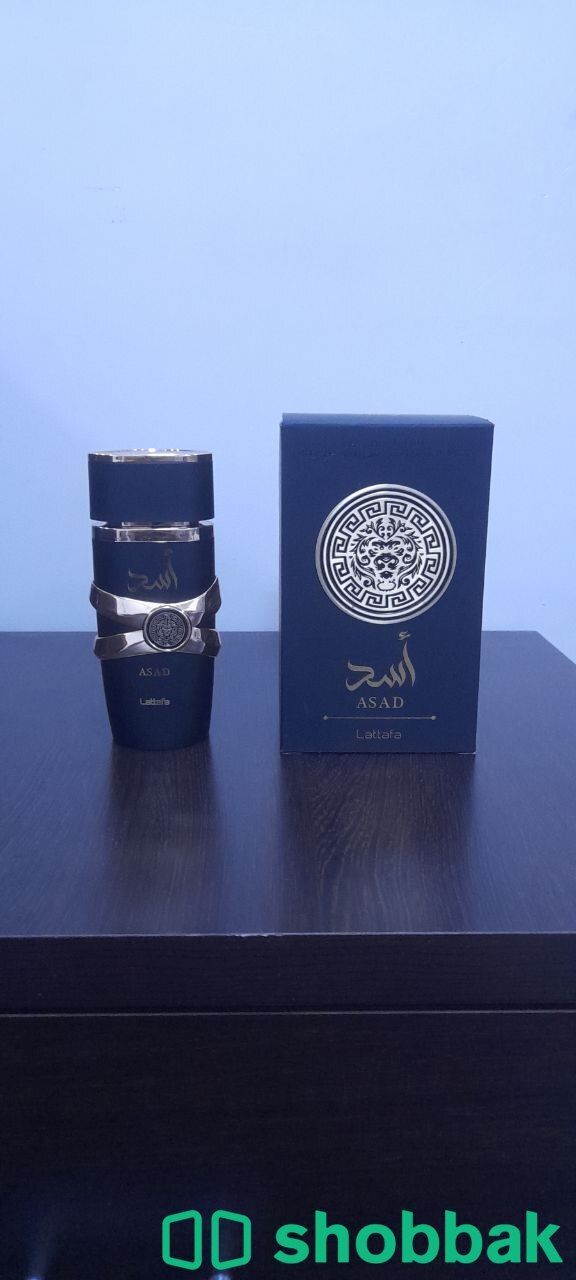 Hawas for him +latafa asad Shobbak Saudi Arabia