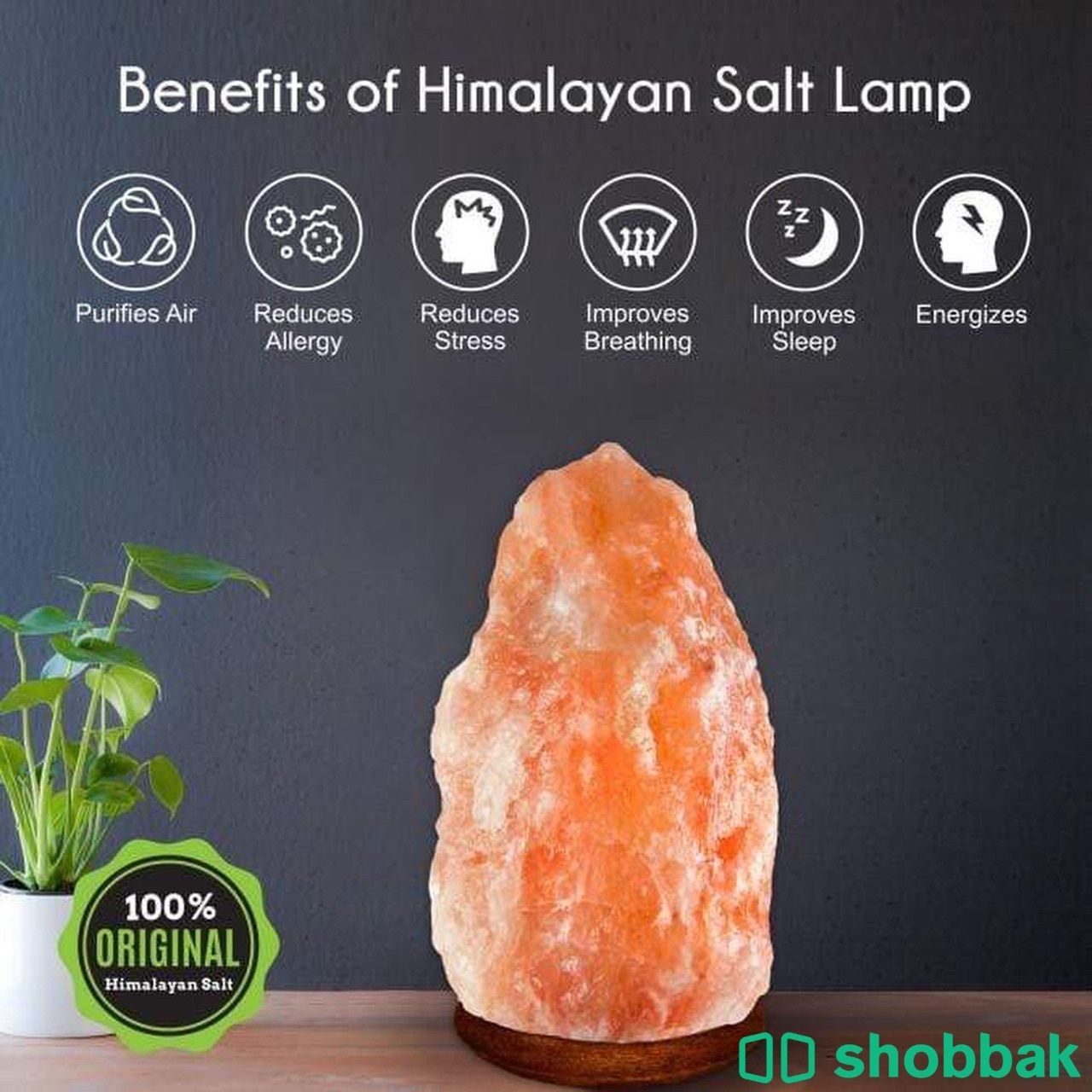Himalayan Pink Salt Lamp شباك البحرين