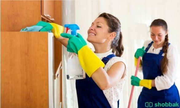 Home cleaning شباك السعودية