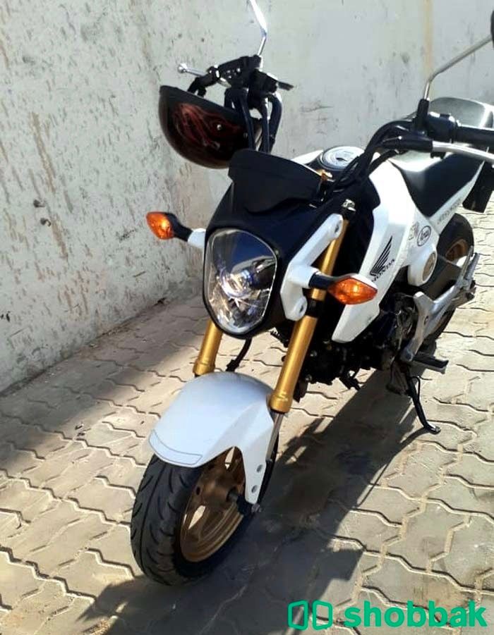Honda grom 2016 شباك الإمارات العربية المتحدة
