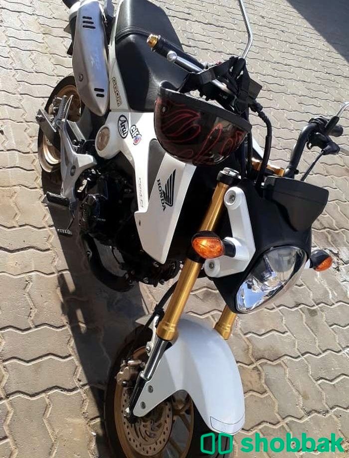 Honda grom 2016 شباك الإمارات العربية المتحدة
