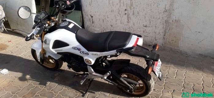 Honda grom 2016 شباك الإمارات العربية المتحدة