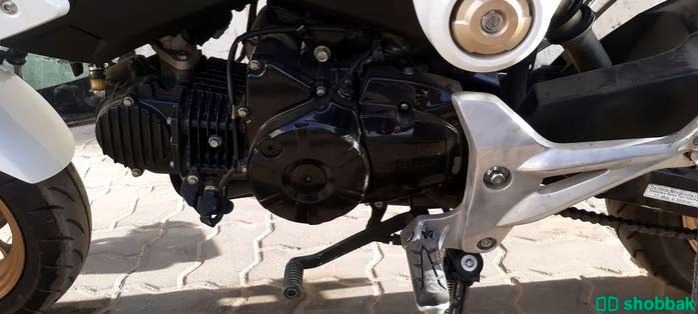 Honda grom 2016 شباك الإمارات العربية المتحدة
