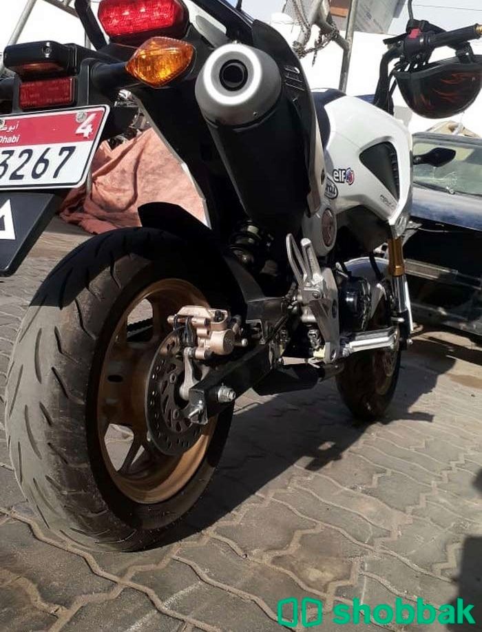 Honda grom 2016 شباك الإمارات العربية المتحدة