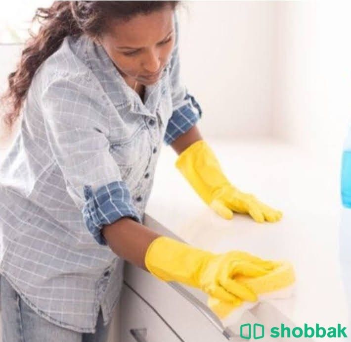 Housemaids Cleaning Services شباك السعودية