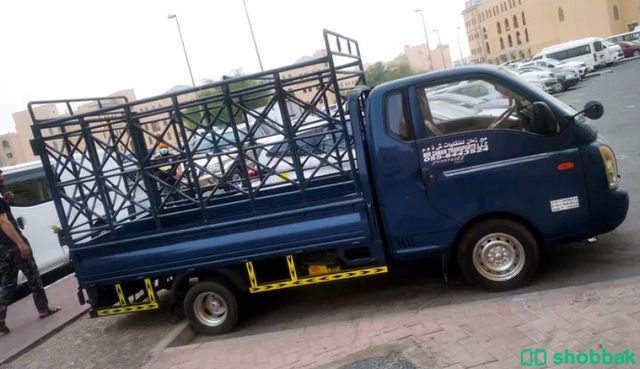 Hyundai diesel شباك الإمارات العربية المتحدة