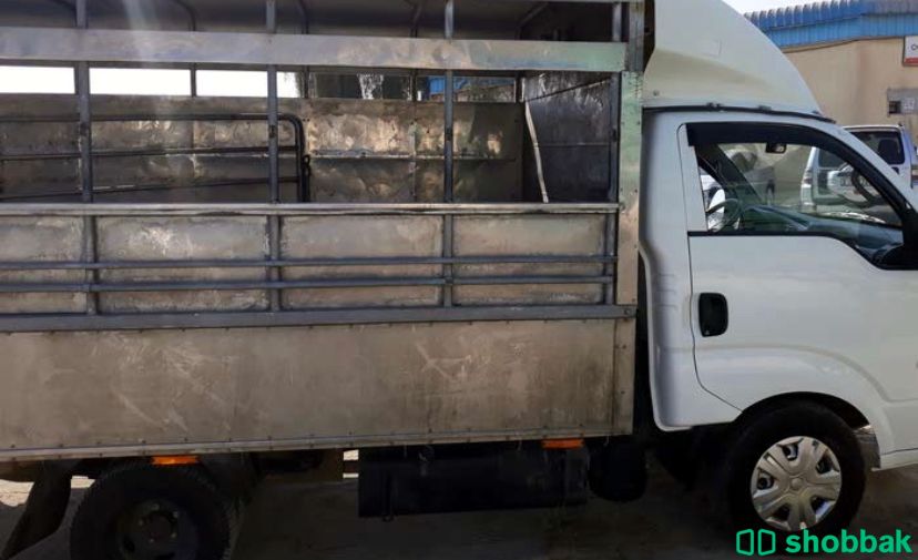 للبيع Kia bongo III pick up 🚛 شباك الإمارات العربية المتحدة