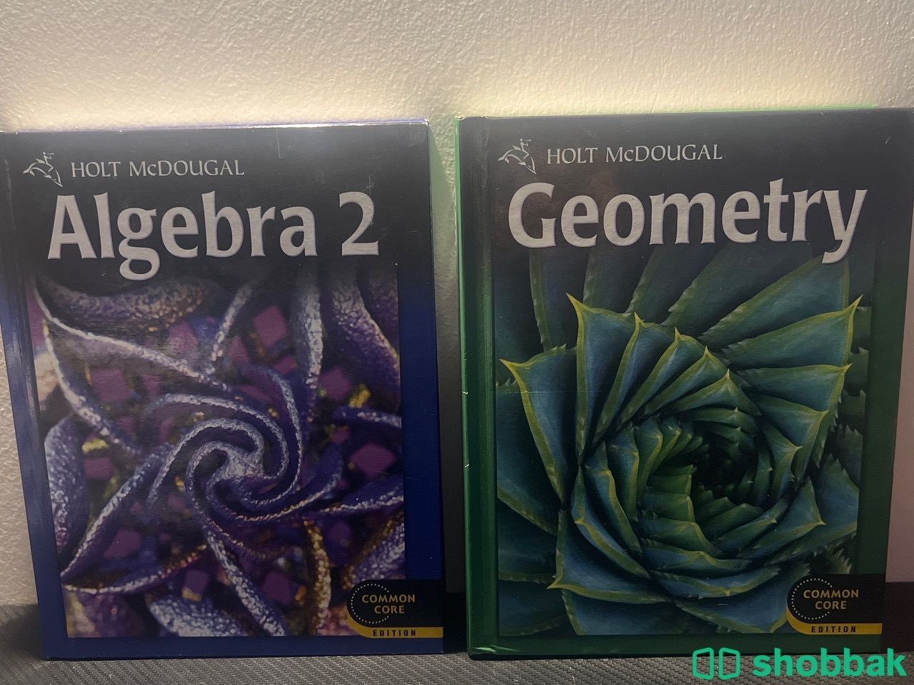 Math books algebra2 and geometry Shobbak Saudi Arabia