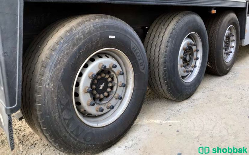   🚛Schmitz Cargobull للبيع شاحنة  شباك الإمارات العربية المتحدة