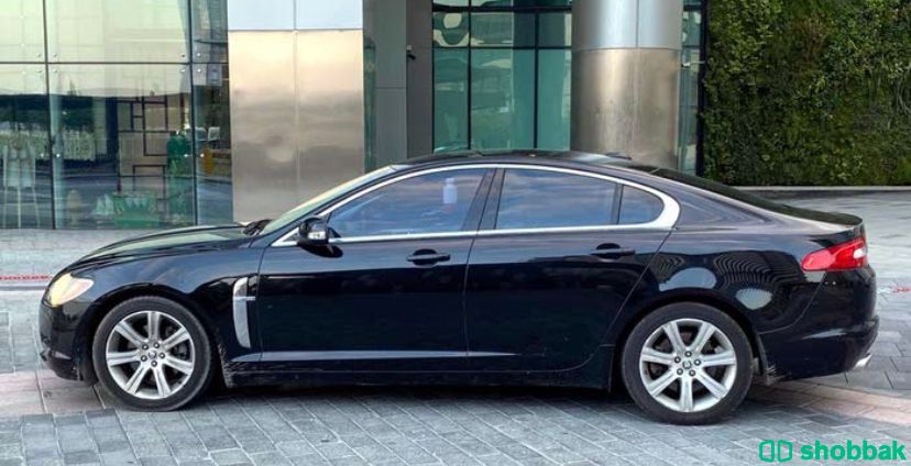 سيارة جاكور XF للبيع 🚙 شباك الإمارات العربية المتحدة