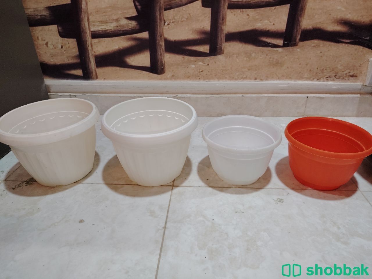 أحواض صيصات زرع نباتات Shobbak Saudi Arabia