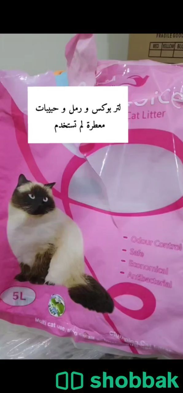 أدوات قطة جديدة لمن تستخدم شباك السعودية