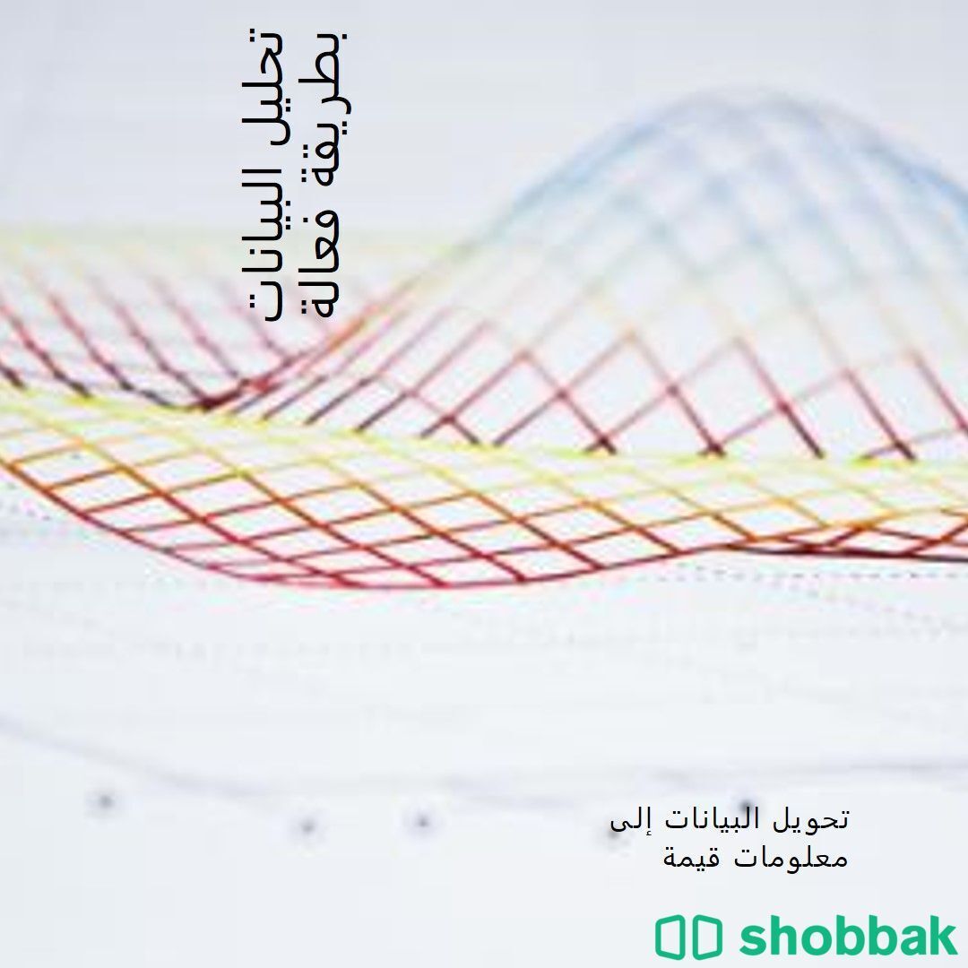 إدخال بيانات  Shobbak Saudi Arabia