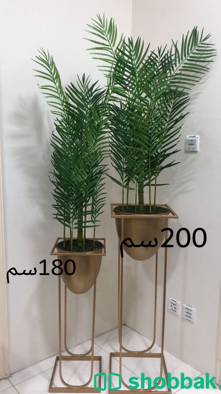 احواض زرع مع الزرع  Shobbak Saudi Arabia