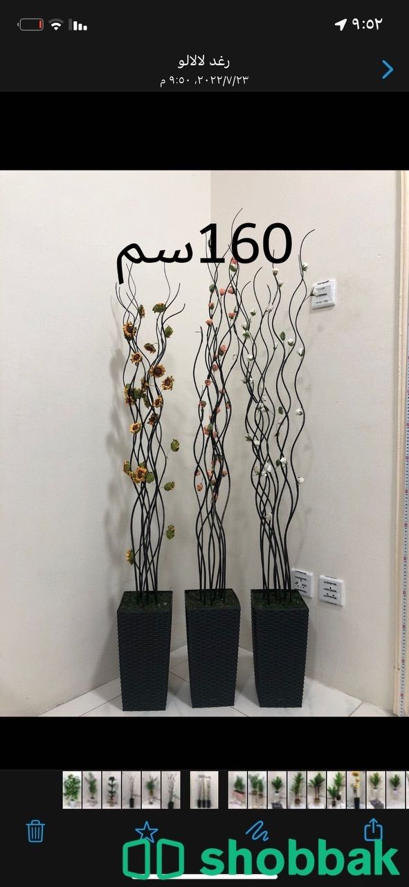 احواض زرع مع الزرع  Shobbak Saudi Arabia