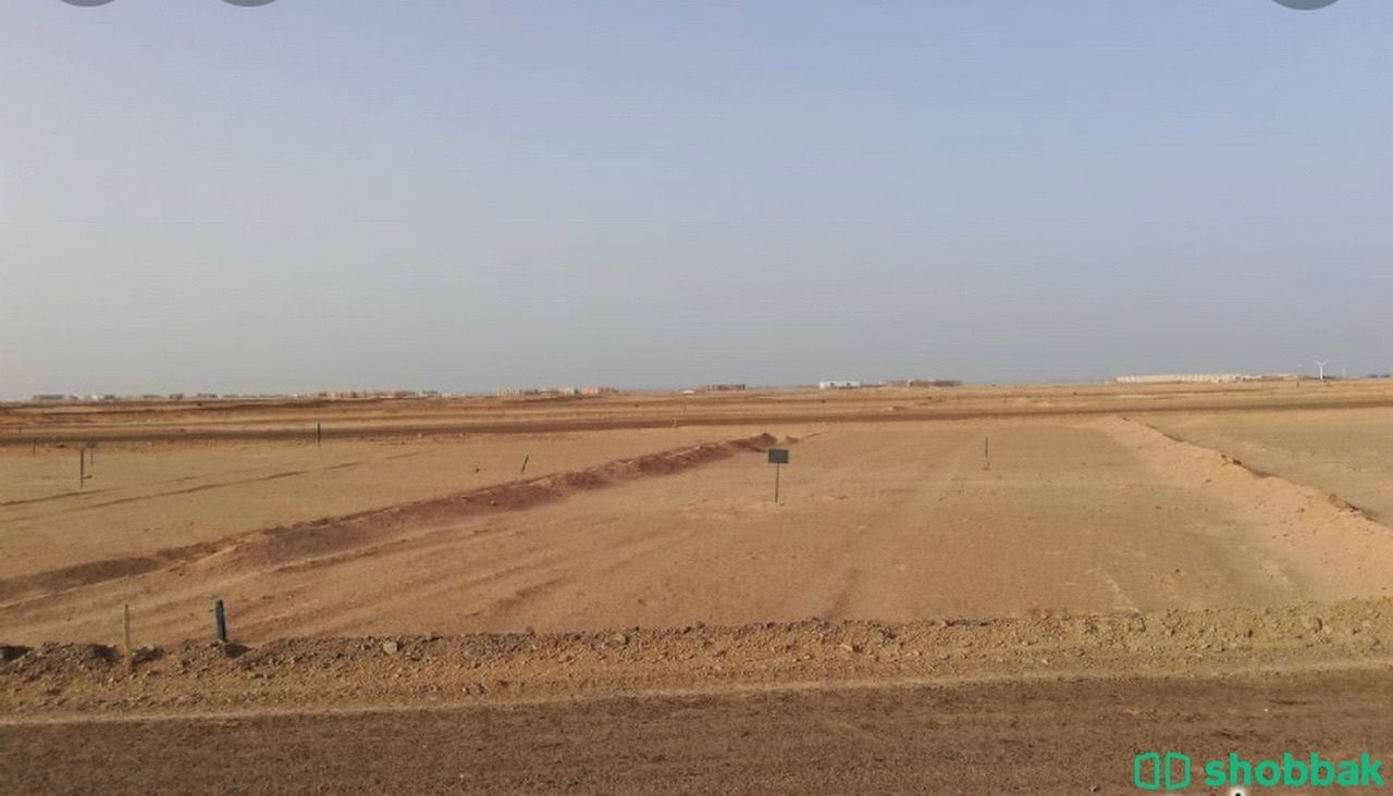 اراضي زراعية وسكنية في الجلة وتبراك Shobbak Saudi Arabia